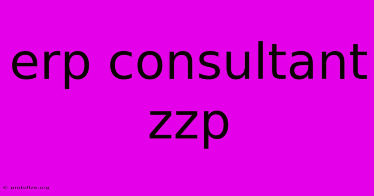 Erp Consultant Zzp