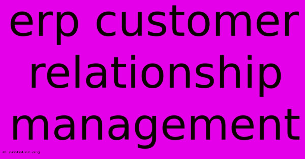 Erp Customer Relationship Management