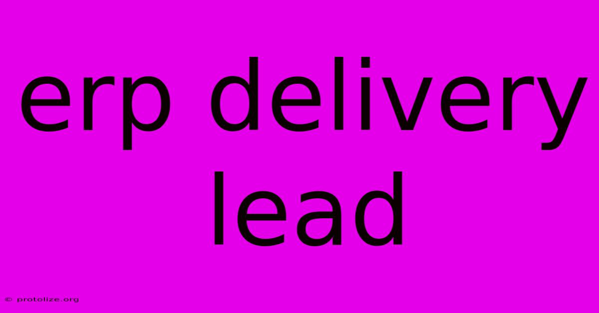 Erp Delivery Lead Erp Delivery Lead