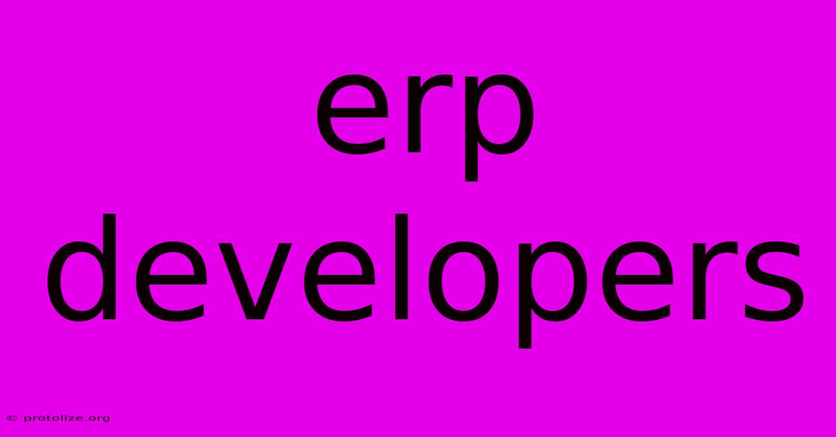 Erp Developers Erp Developers