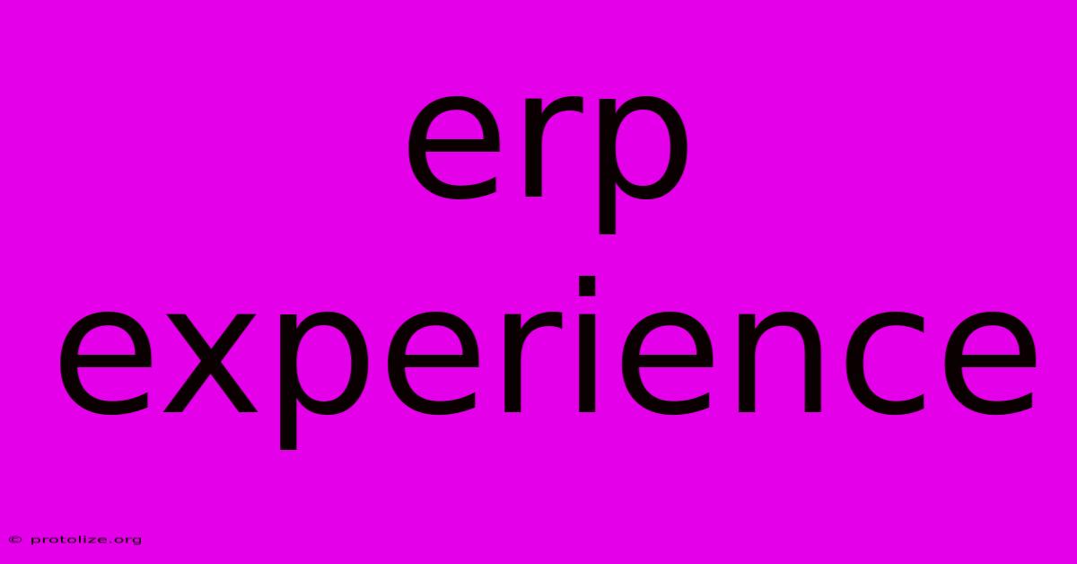 Erp Experience Erp Experience
