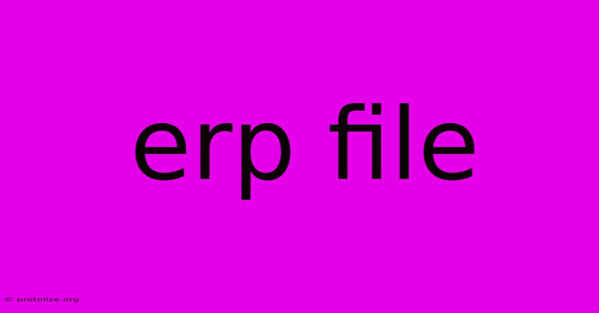 Erp File Erp File