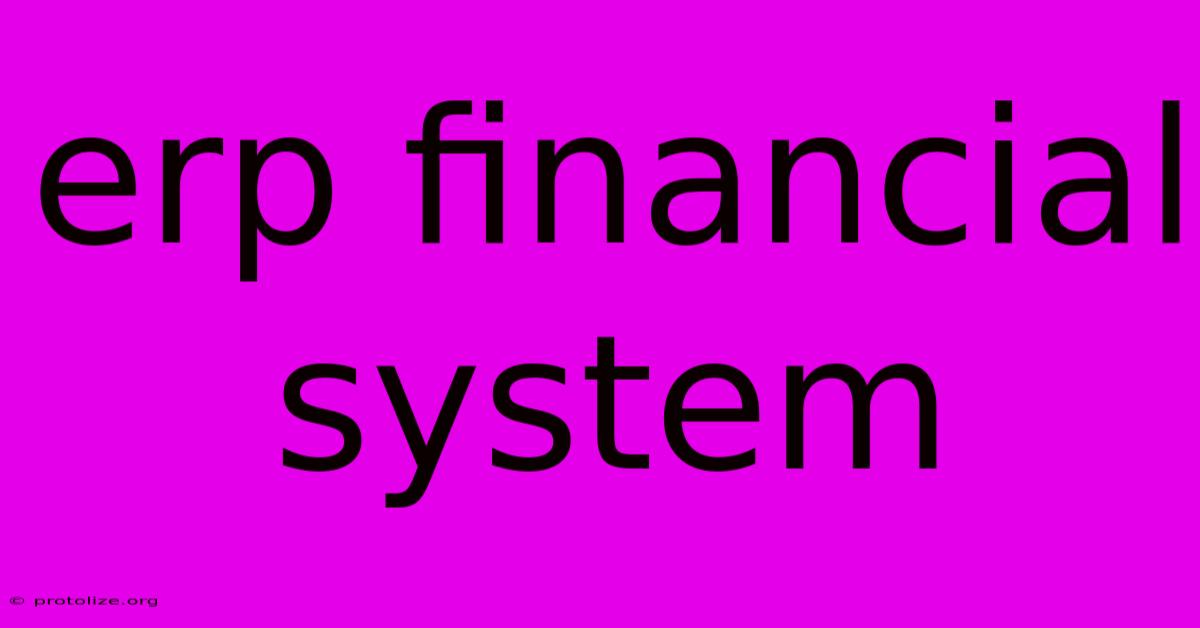 Erp Financial System