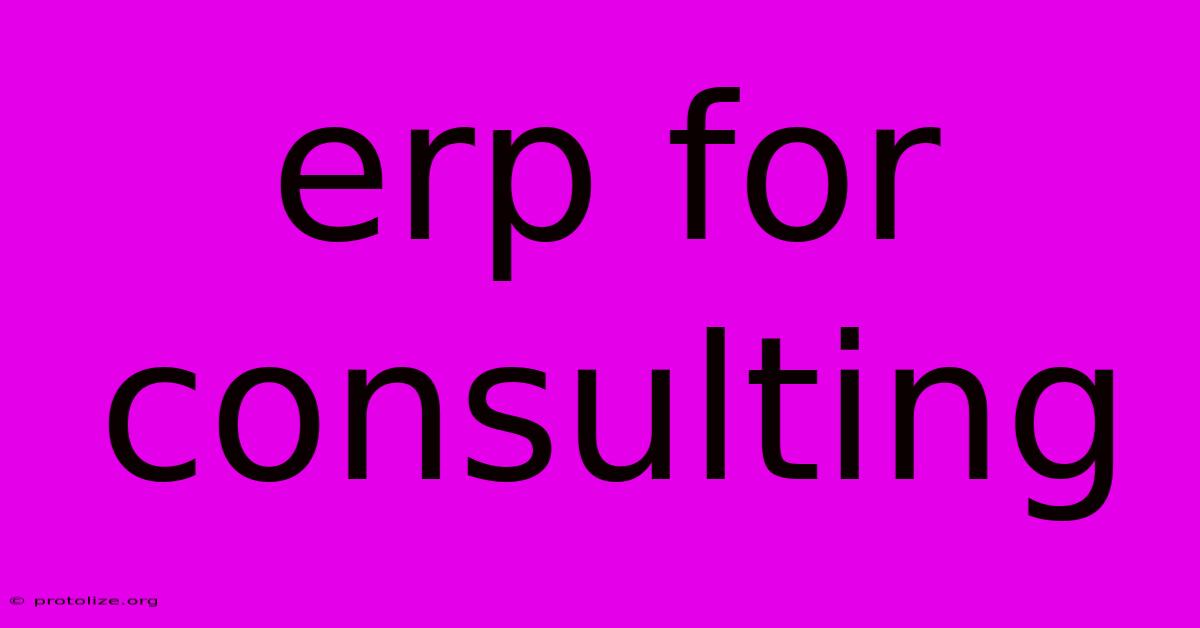 Erp For Consulting