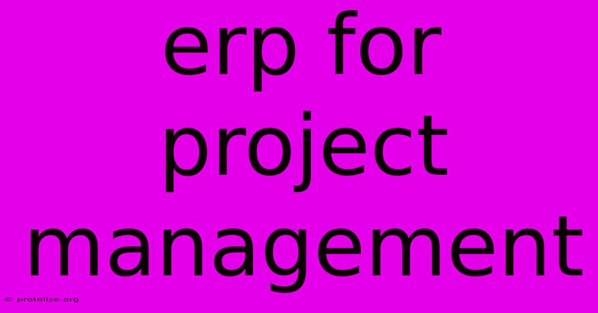 Erp For Project Management
