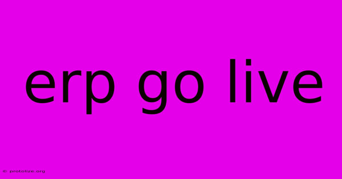 Erp Go Live Erp Go Live