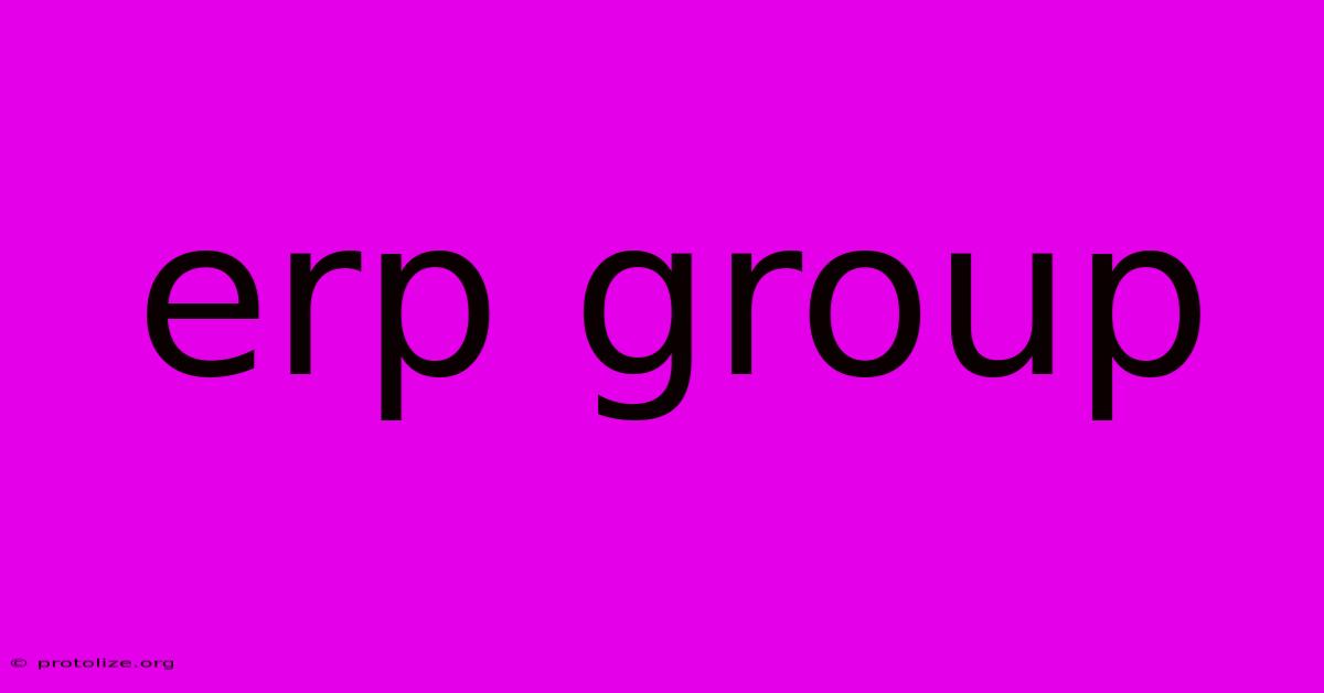 Erp Group