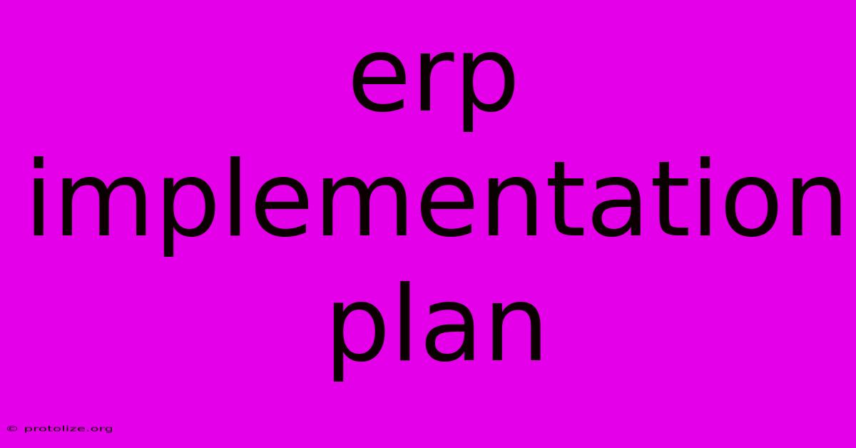 Erp Implementation Plan