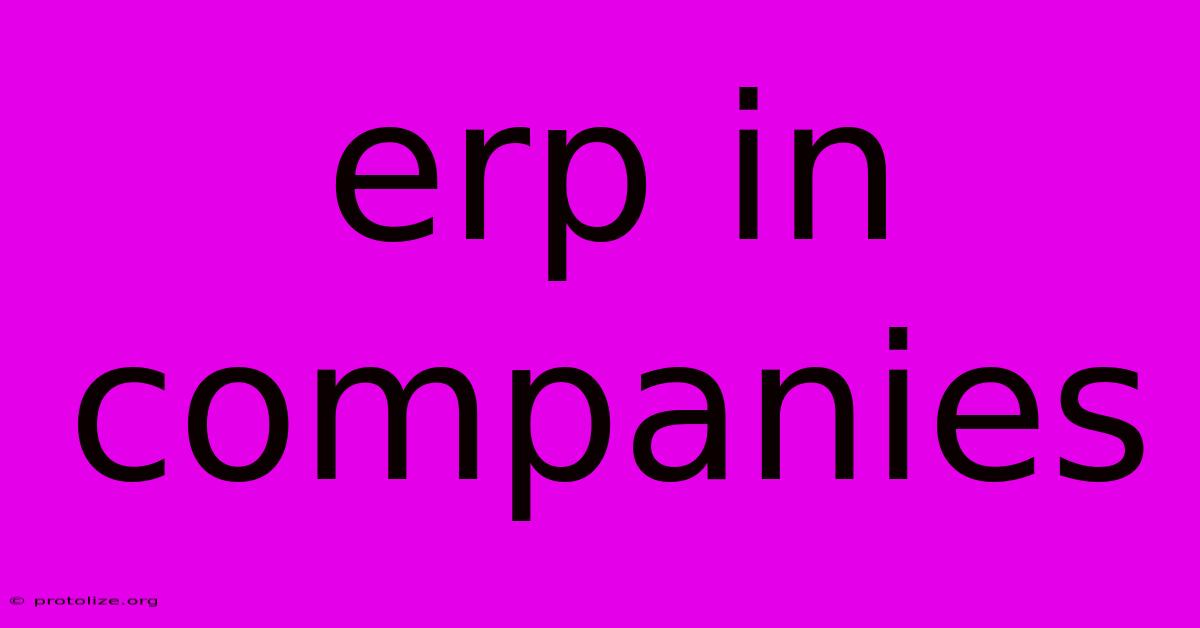 Erp In Companies