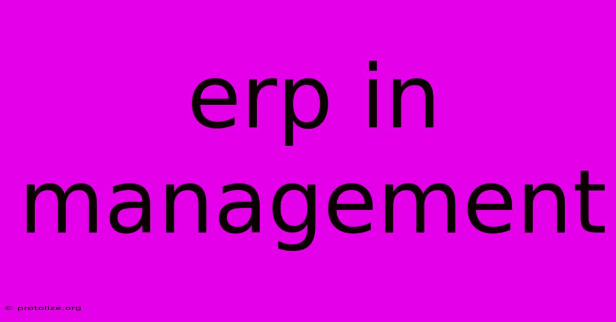 Erp In Management