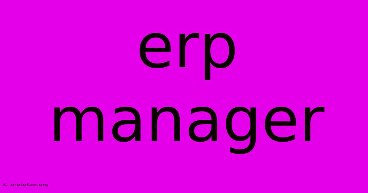Erp Manager Erp Manager