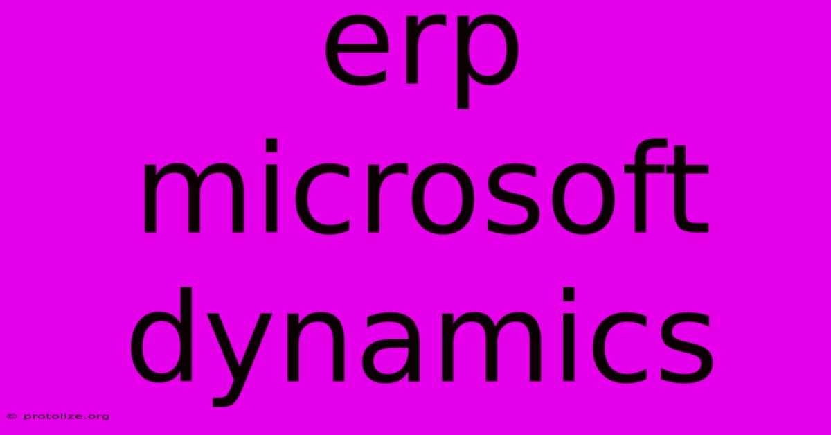 Erp Microsoft Dynamics