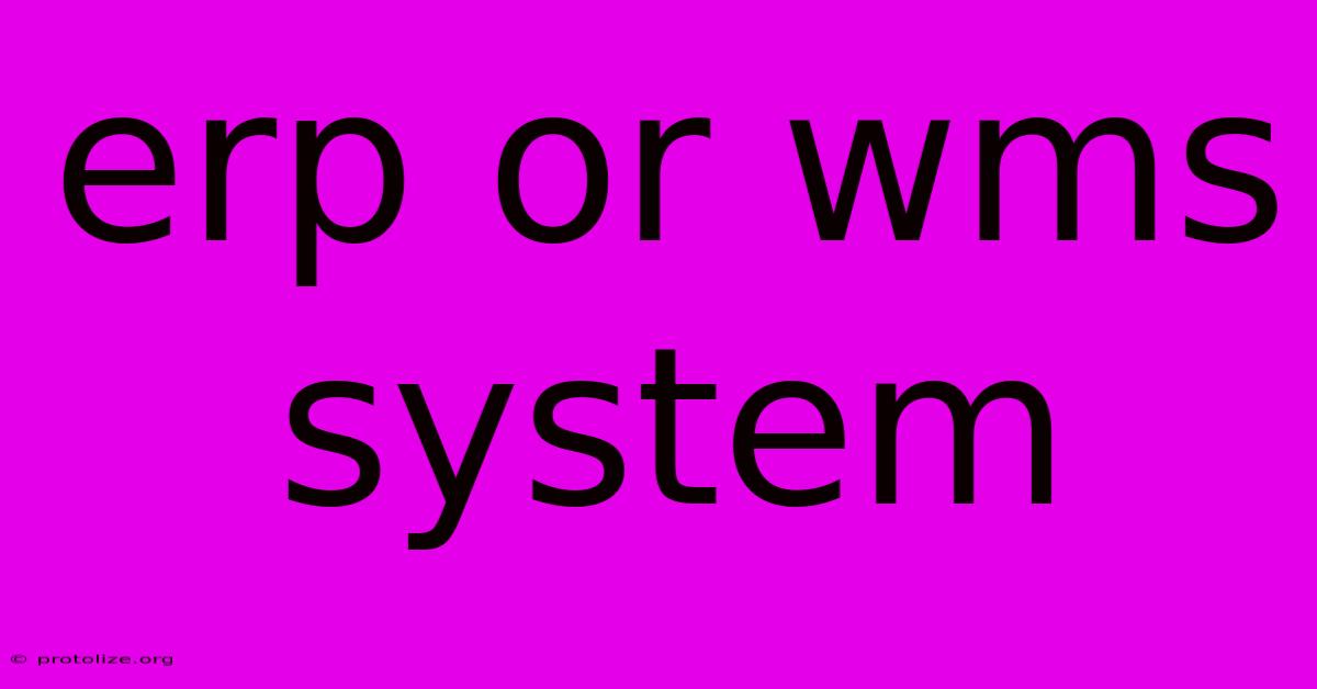 Erp Or Wms System Erp Or Wms System