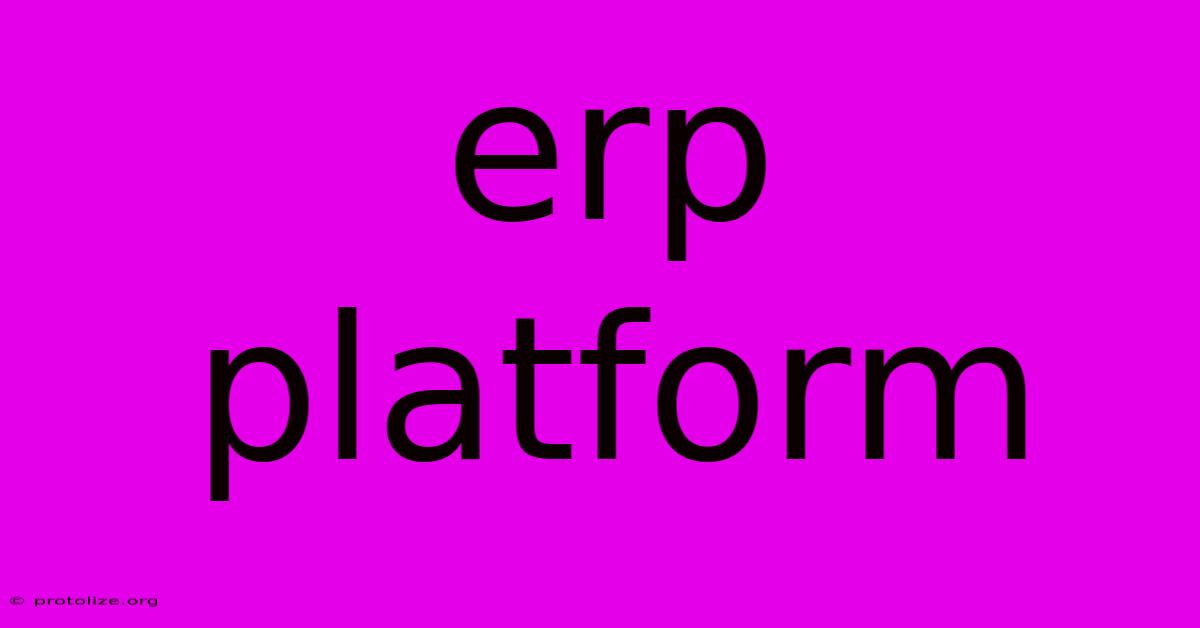 Erp Platform