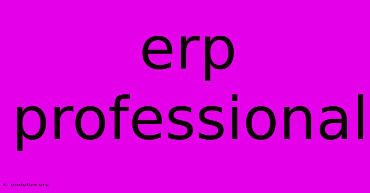 Erp Professional Erp Professional