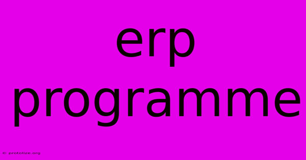 Erp Programme Erp Programme