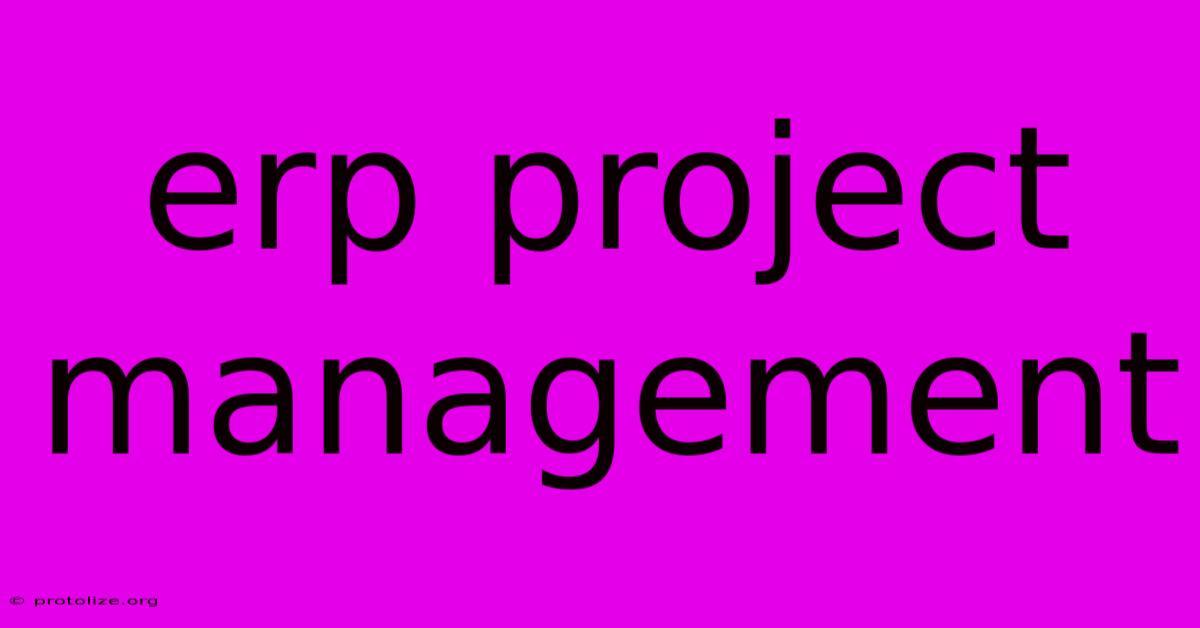 Erp Project Management Erp Project Management
