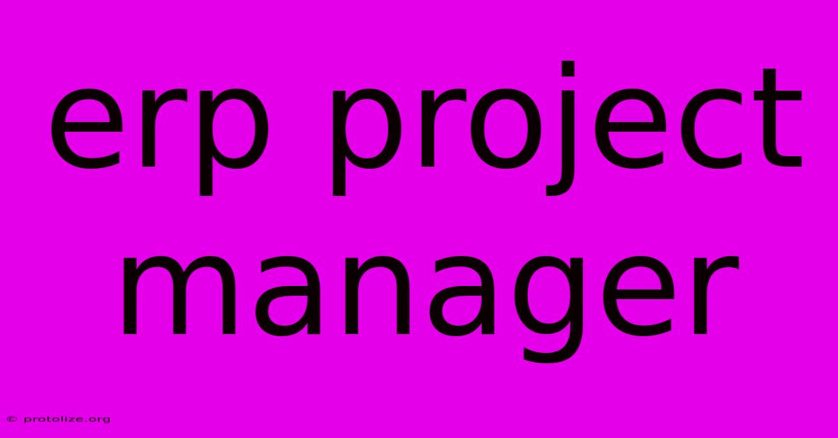 Erp Project Manager Erp Project Manager