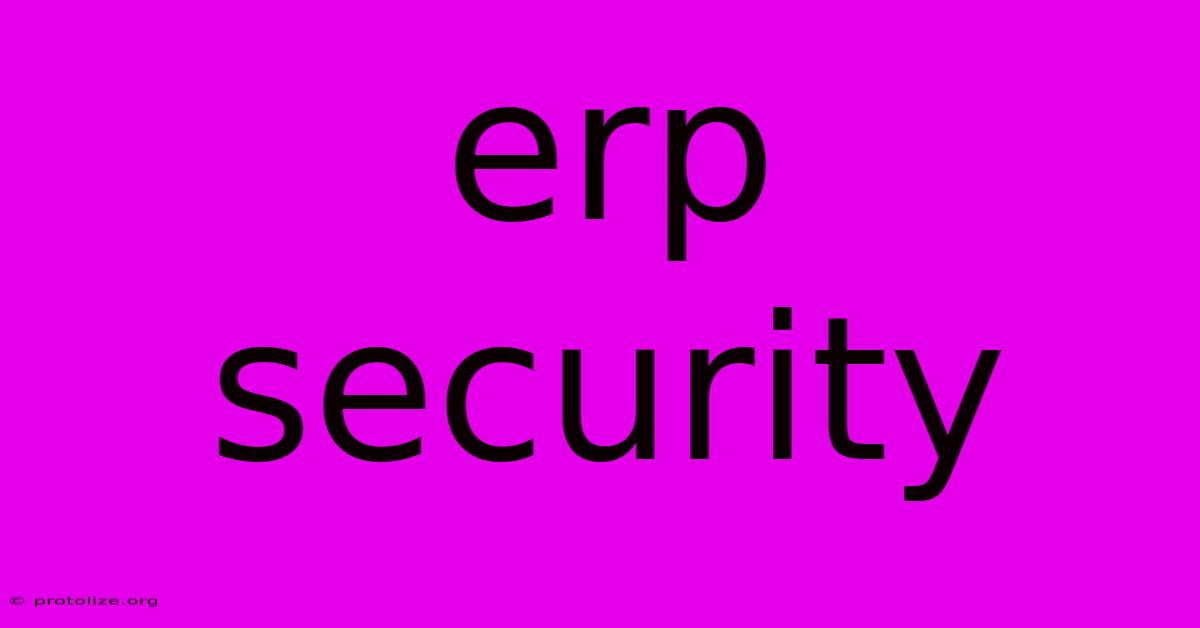Erp Security