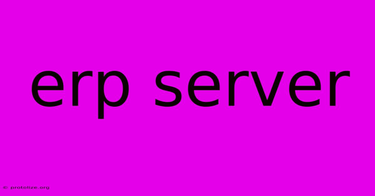 Erp Server
