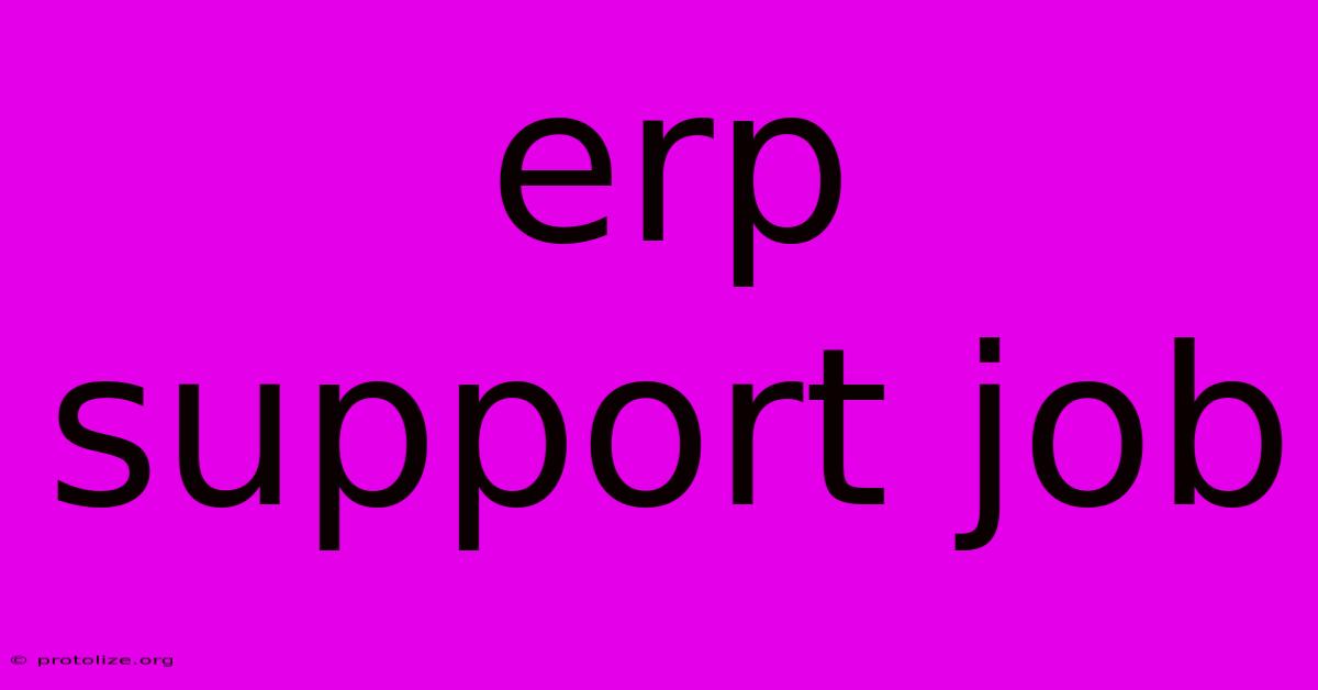 Erp Support Job