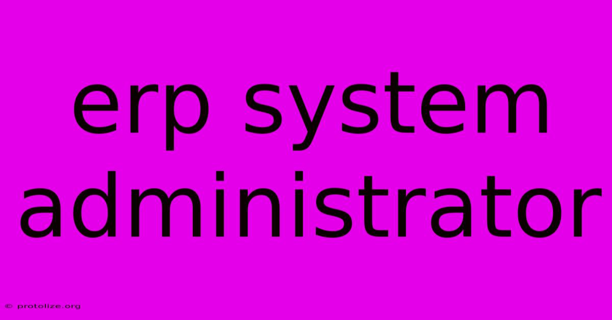 Erp System Administrator