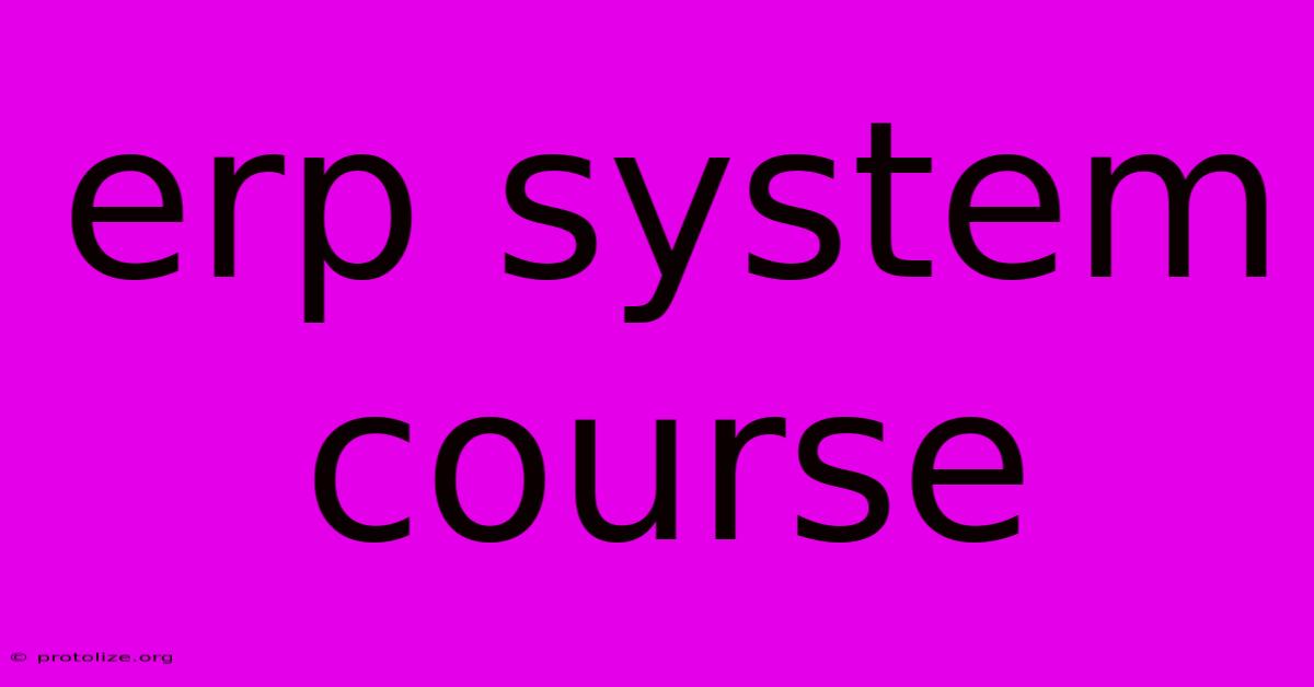 Erp System Course Erp System Course