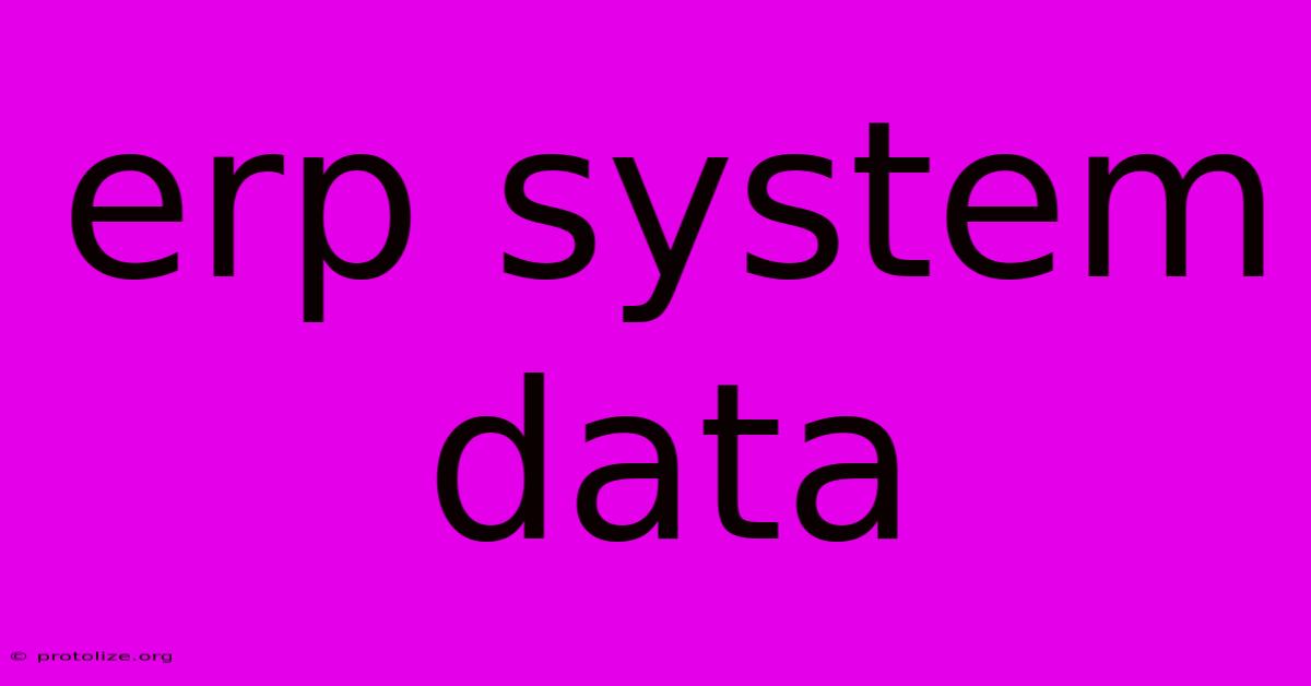 Erp System Data