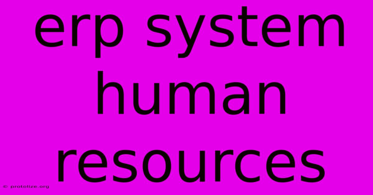 Erp System Human Resources