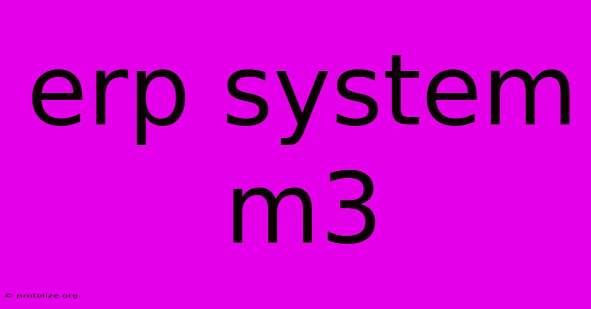 Erp System M3 Erp System M3