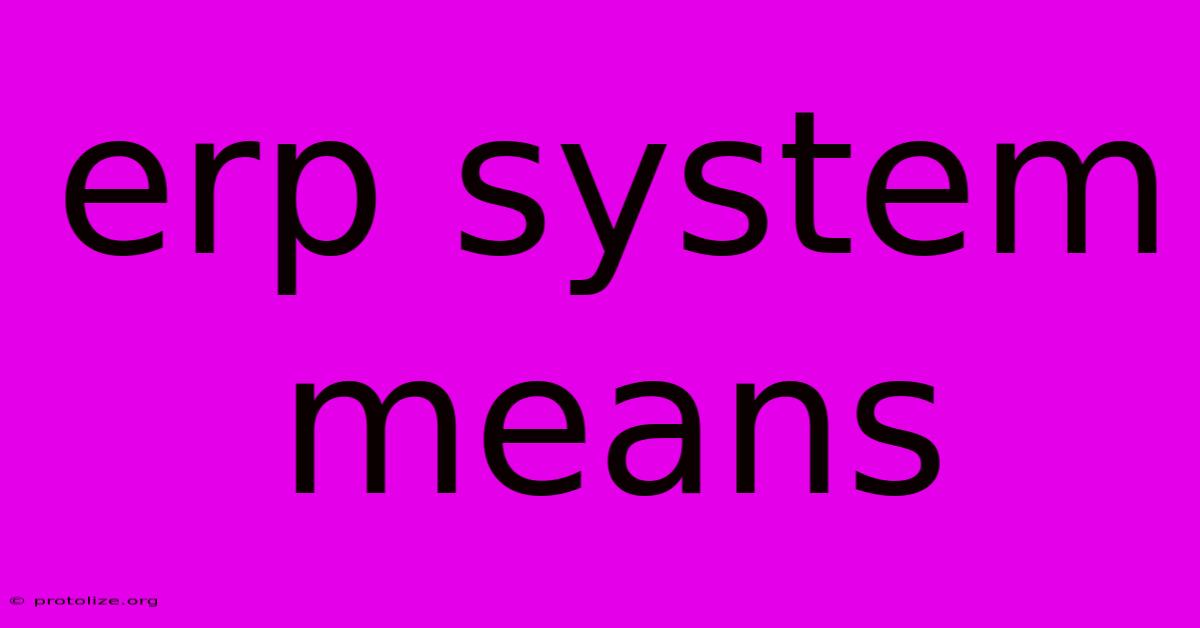 Erp System Means Erp System Means