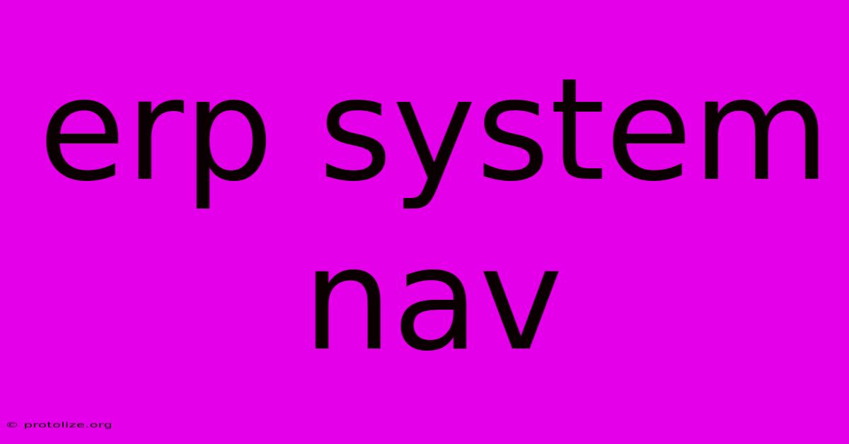 Erp System Nav Erp System Nav