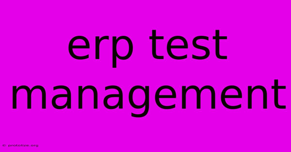 Erp Test Management