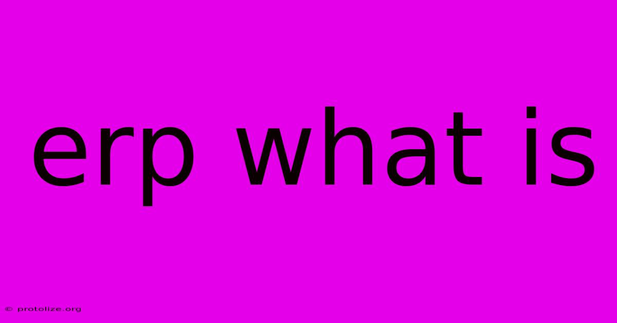 Erp What Is Erp What Is