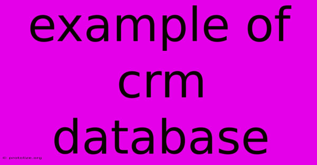 Example Of Crm Database