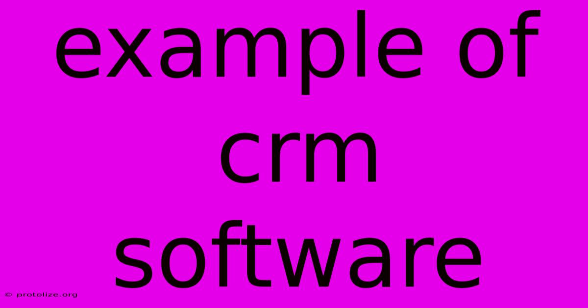 Example Of Crm Software Example Of Crm Software