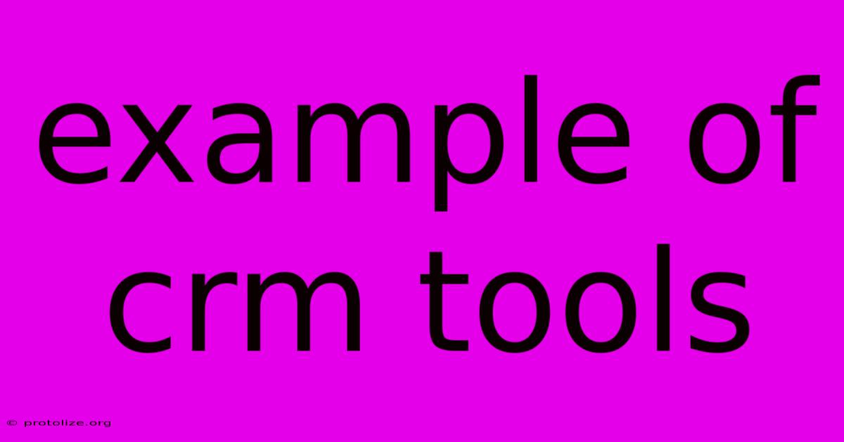 Example Of Crm Tools
