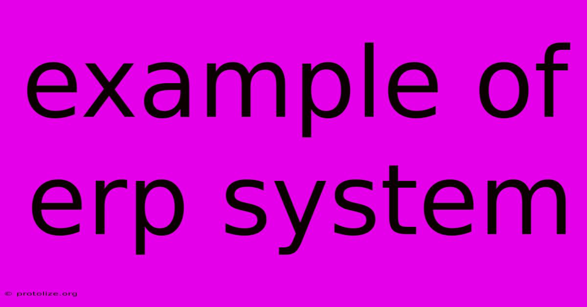 Example Of Erp System Example Of Erp System