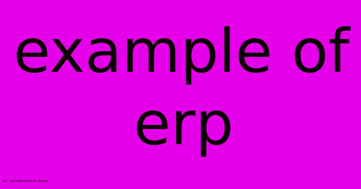 Example Of Erp Example Of Erp