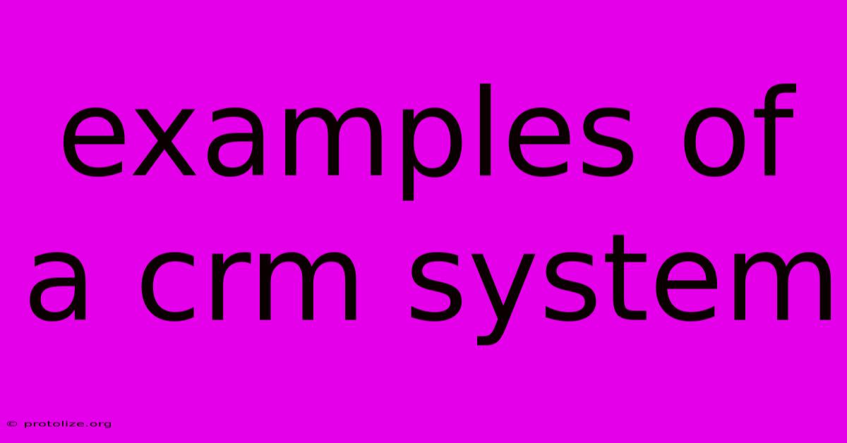 Examples Of A Crm System