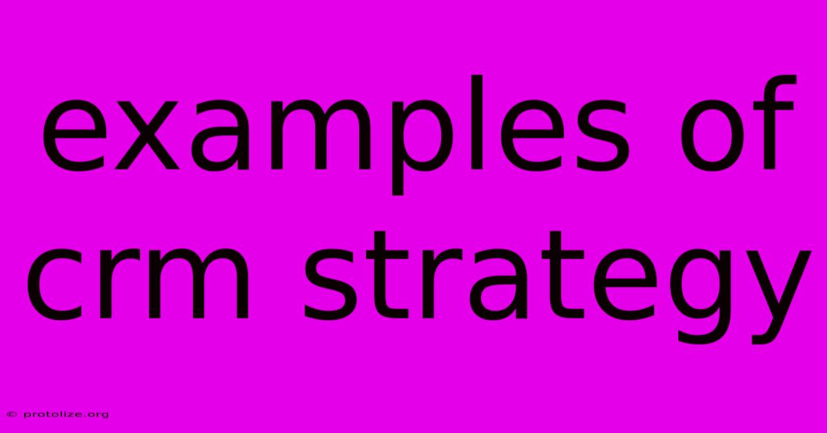 Examples Of Crm Strategy