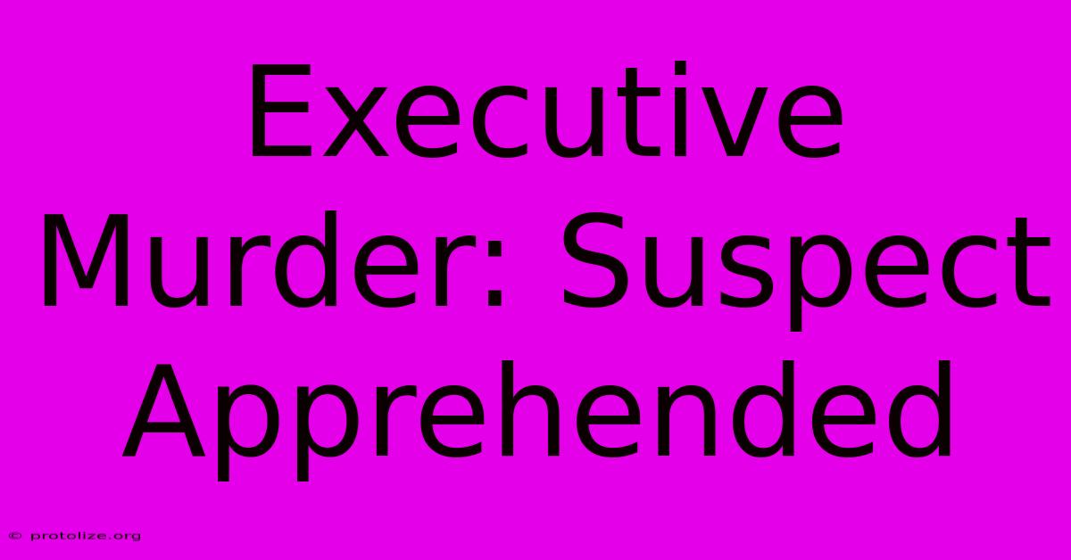 Executive Murder: Suspect Apprehended