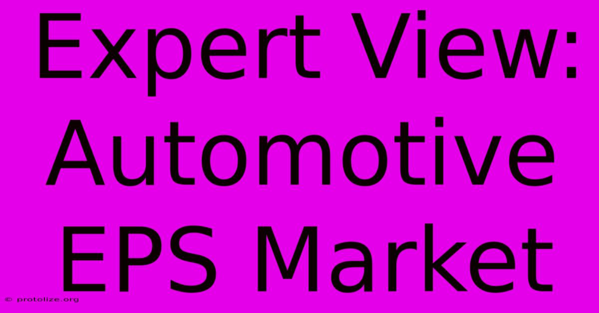 Expert View: Automotive EPS Market Expert View: Automotive EPS Market