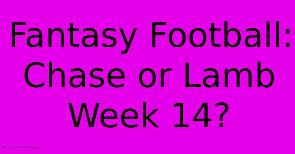 Fantasy Football: Chase Or Lamb Week 14?