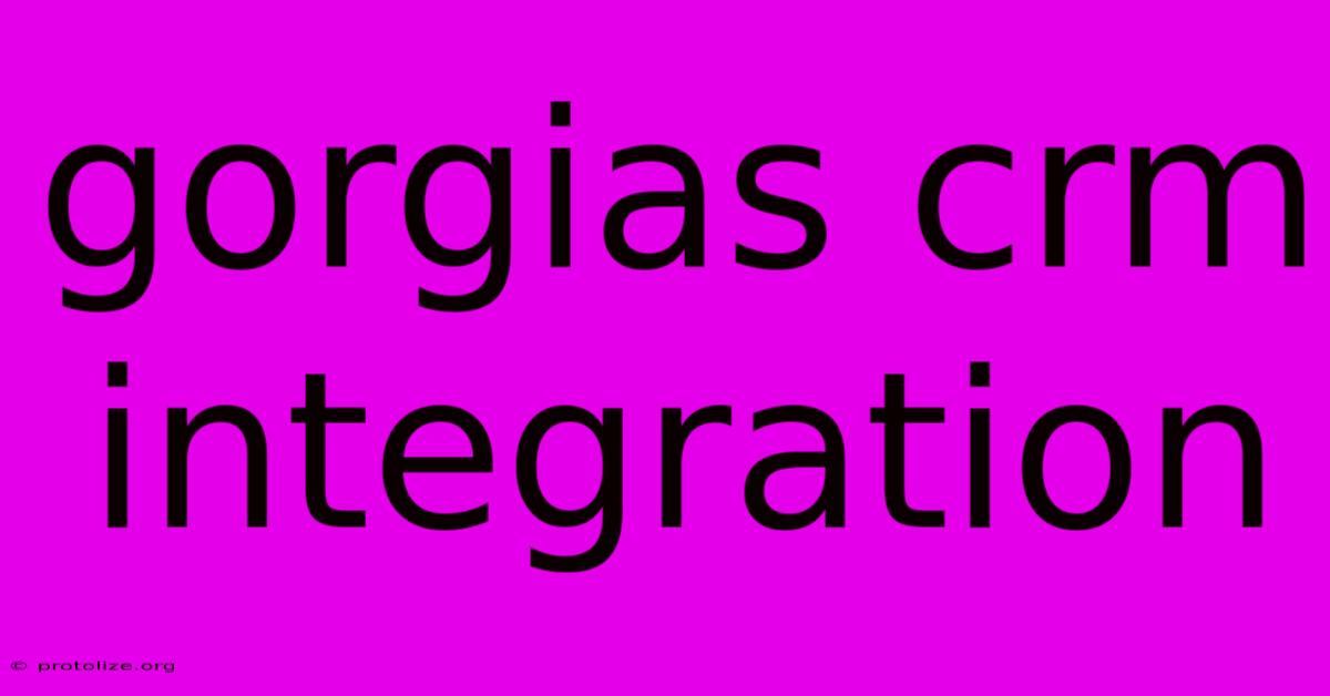 Gorgias Crm Integration