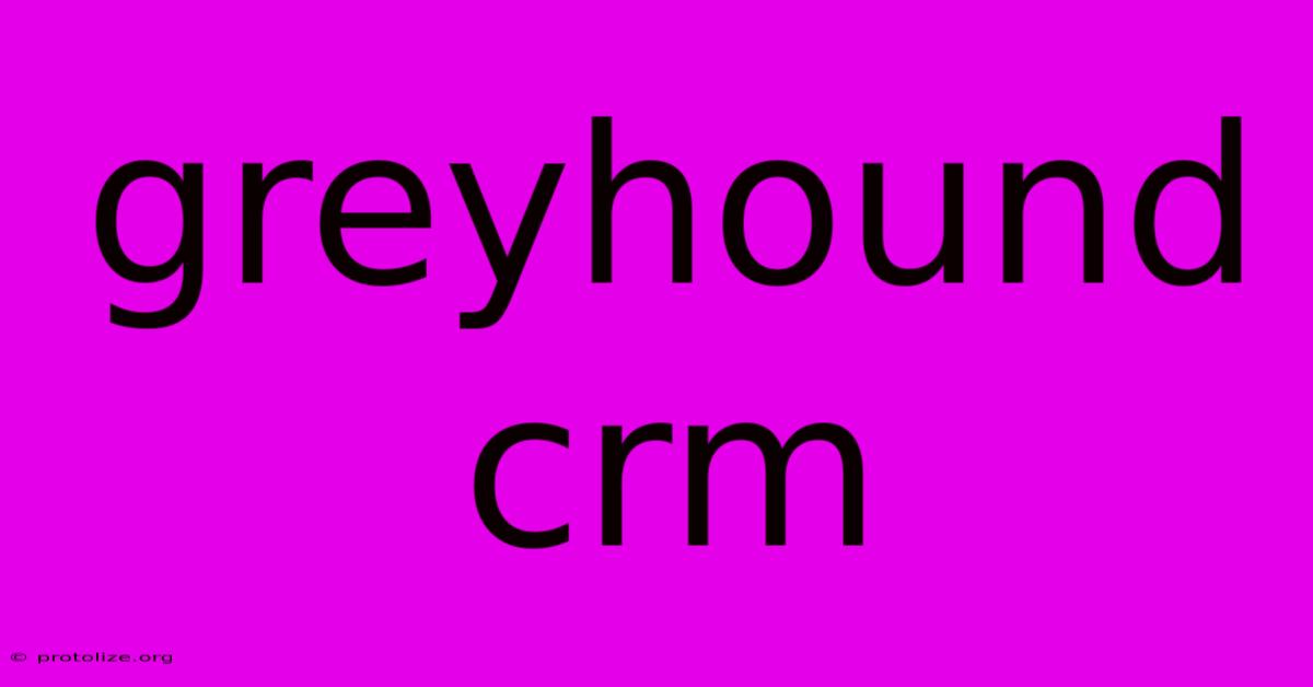 Greyhound Crm Greyhound Crm