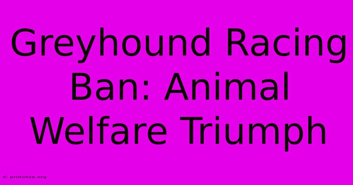 Greyhound Racing Ban: Animal Welfare Triumph