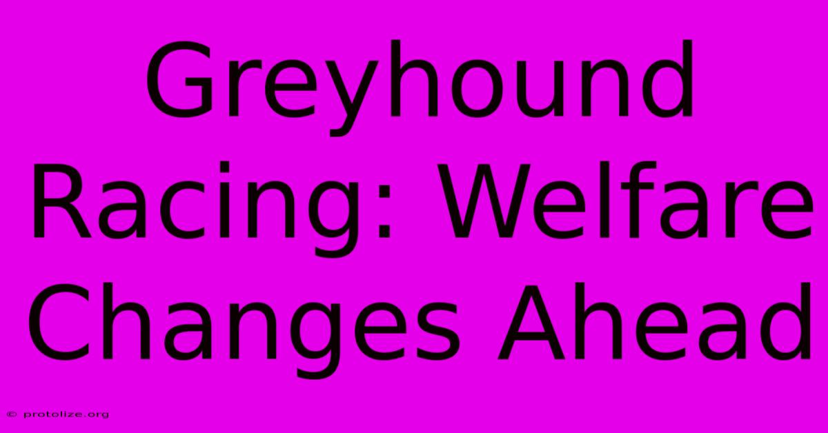 Greyhound Racing: Welfare Changes Ahead