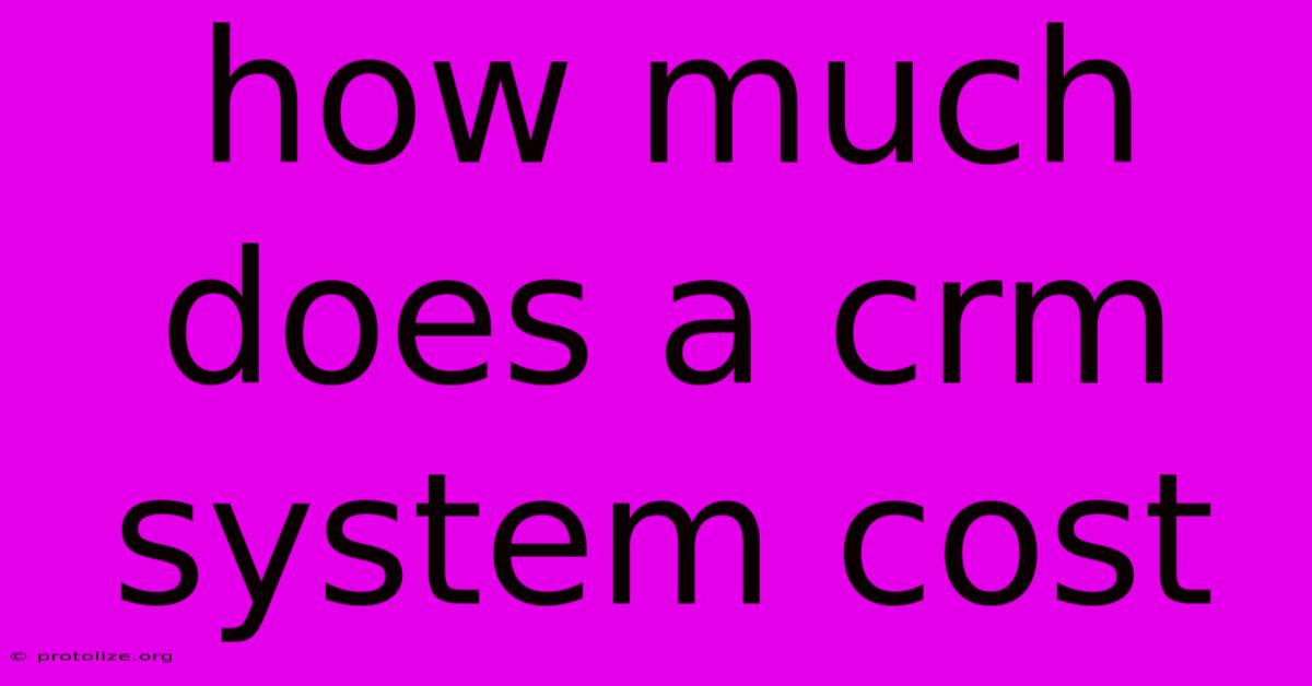 How Much Does A Crm System Cost