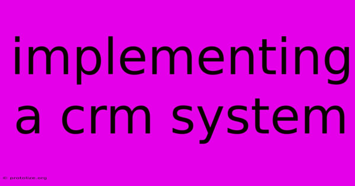 Implementing A Crm System Implementing A Crm System